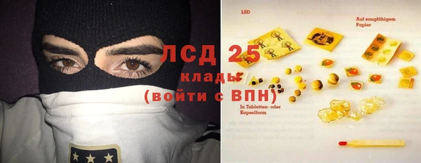 твердый Коряжма