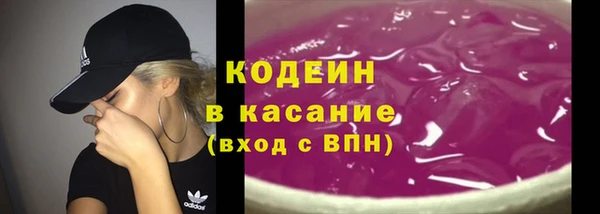 крисы Костерёво