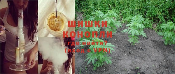 первитин Козельск