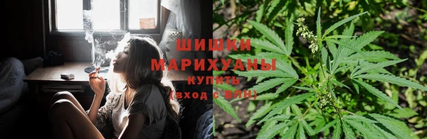 apvp Корсаков