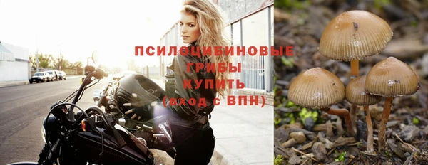 спиды Козловка