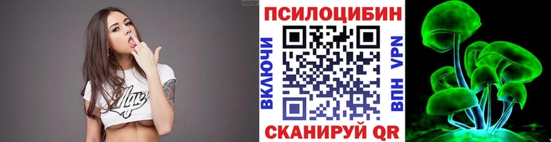 Псилоцибиновые грибы Cubensis  где продают   Кингисепп 